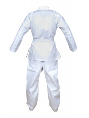 Adults Taekwondo back